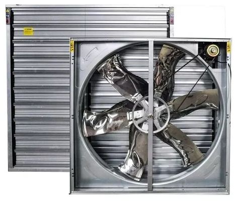 पोल्ट्री हाउस एग्जॉस्ट फैन पिग फार्म इंडस्ट्रियल ड्यूरेबल वेंटिलेशन फैन चिकन हाउस एग्जॉस्ट फैन कूलिंग सिस्टम