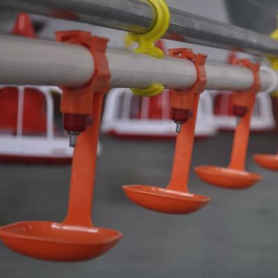 कप के साथ HX निप्पल ड्रिंकर 0.031KG चिकन बर्ड बटेर फीडिंग