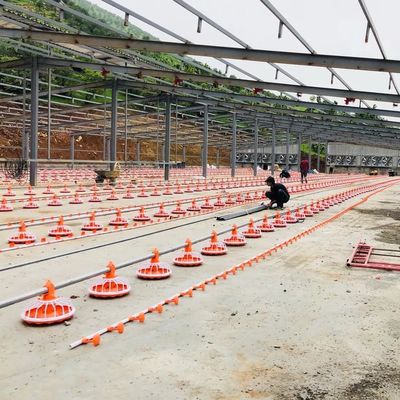 4 पैन/3m पोल्ट्री फार्म उपकरण 380v स्वचालित फीडिंग सिस्टम