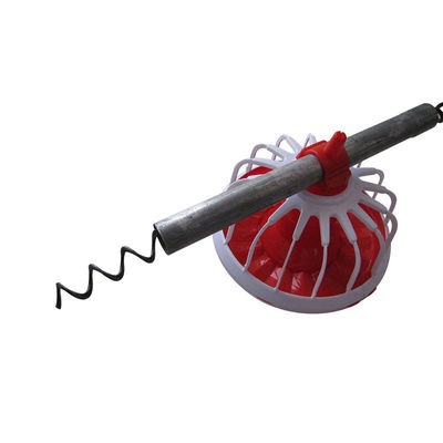 दक्षिण अफ्रीका स्वचालित खिला प्रणाली में उपयोग करता है