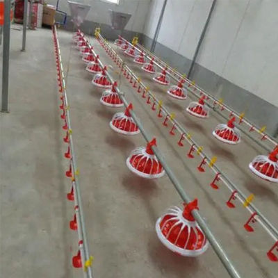 380v पोल्ट्री फार्म उपकरण 3 पैन/3m स्वचालित पैन फीडिंग सिस्टम