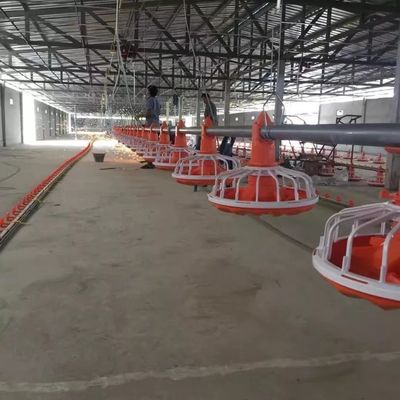 0.75 मीटर पोल्ट्री फार्मिंग मशीन जस्ती स्टील चिकन पोल्ट्री फार्म उपकरण