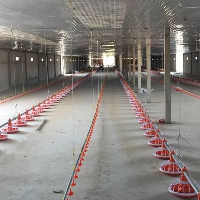 जस्ती पाइप पोल्ट्री फार्मिंग मशीन पैन फीडिंग सिस्टम व्यास 45 मिमी