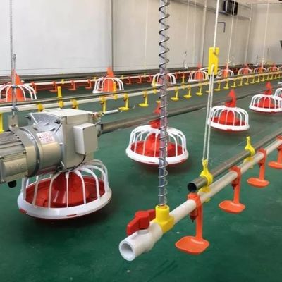 ब्रायलर के लिए ओईएम पोल्ट्री फार्म उपकरण 30KG स्वचालित पोल्ट्री फीडर