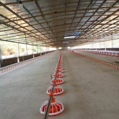 चिकन के लिए 14 ग्रिड 16 ग्रिड पोल्ट्री फार्म उपकरण फीडिंग लाइन