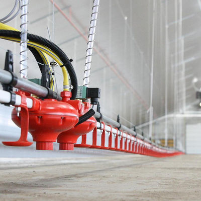 प्लास्टिक सामग्री पोल्ट्री फीडर और पीने वाला लंबे समय तक सेवा समय