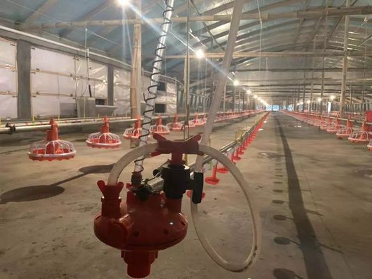 ड्राइविंग डिवाइस के साथ 4 पैन/3m चिकन फीडर उपकरण 380v 0.75kw